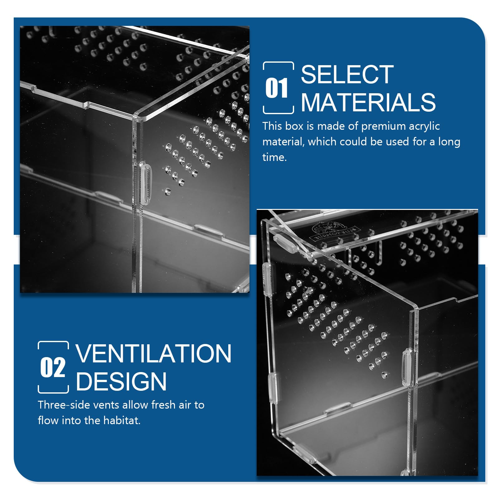 Terrario Acrilico Trasparente per Rettili e Aracnidi Ventilazione, Vasca da 25x15x15 Cm per Lucertole, Ragni, Scorpioni e Piccoli Animali Esotici