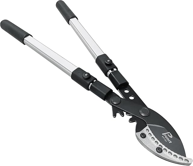 26-41 Inch Loppers à enclume extensibles, rainures de levier sync, tailleurs télescopiques de poids lourd, 2 Capacité de coupe de pouce