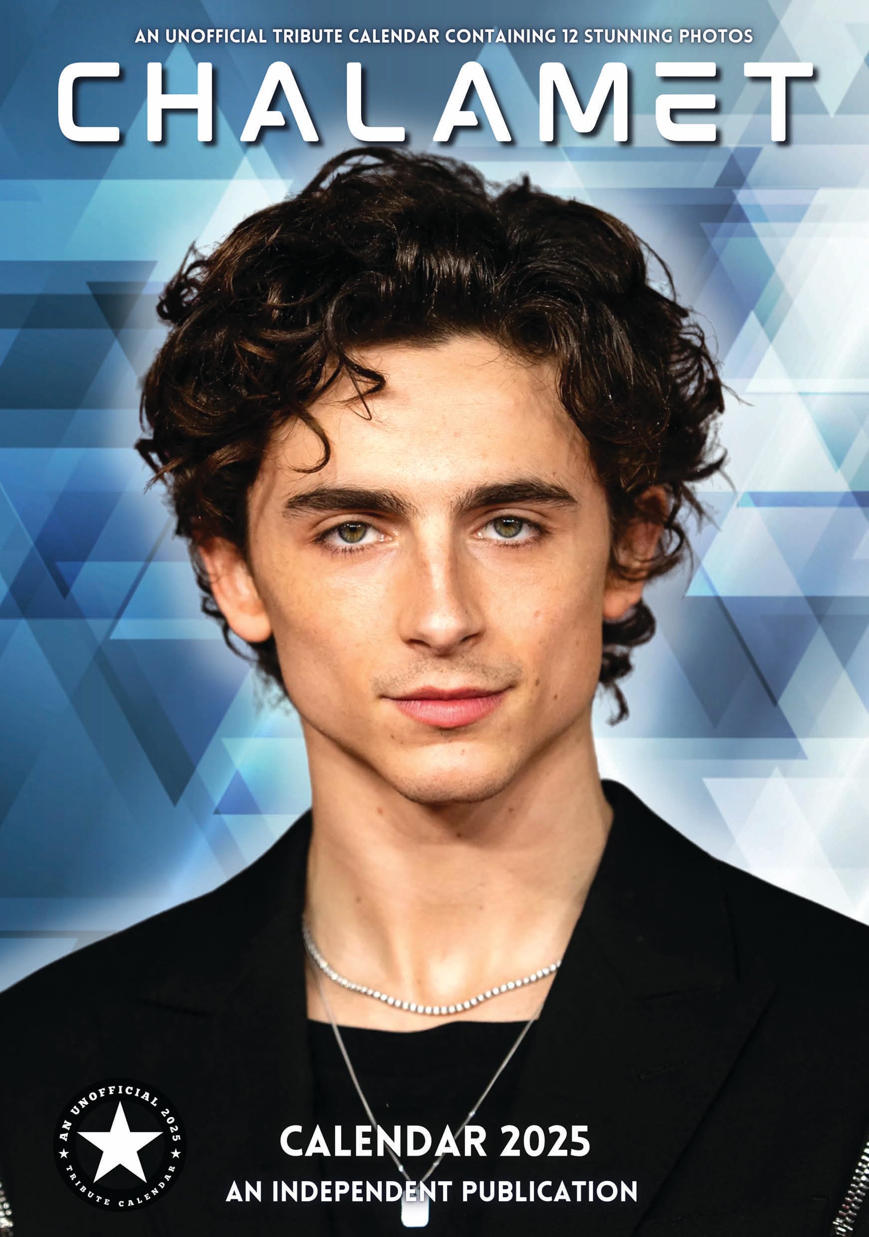 TIMOTHEE CHALAMET 2025 Wall Calendar A3 Unofficial Tribute
