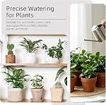 Small Watering Can for Indoor Plants, 300ML Mini Indoor Watering Can with Long Spout Gooseneck, Mini Stainless Steel Watering Pot Can Gardening Tool for Plant in Office Home Outdoor