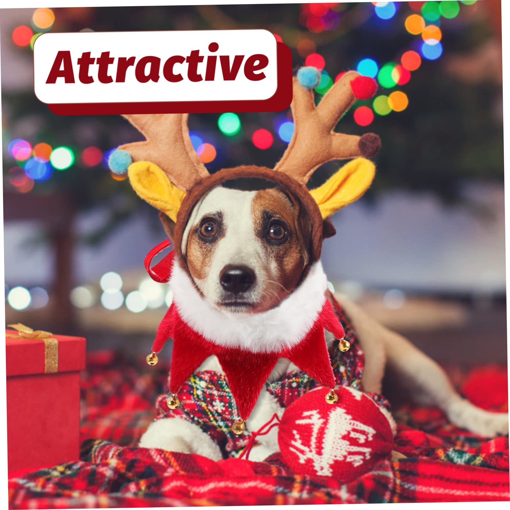 Sosoport 4stücke Pet Christmas Collar Mit Glöckchen Für Hunde Und Katzen Festliche Weihnachtsdekoration Für Haustiere Verstellbar Und Langlebig Für Feiertage Und Fotosessions