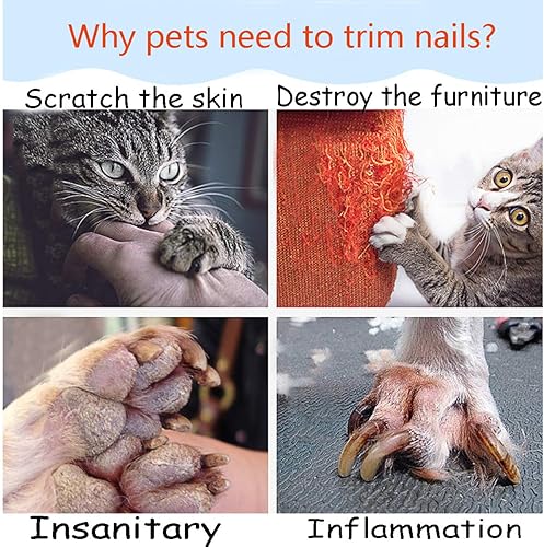 Miniatura 6 de Molinillo de uñas para perro versión mejorada molinillo de uñas eléctrico profesional para mascotas herramientas de aseo