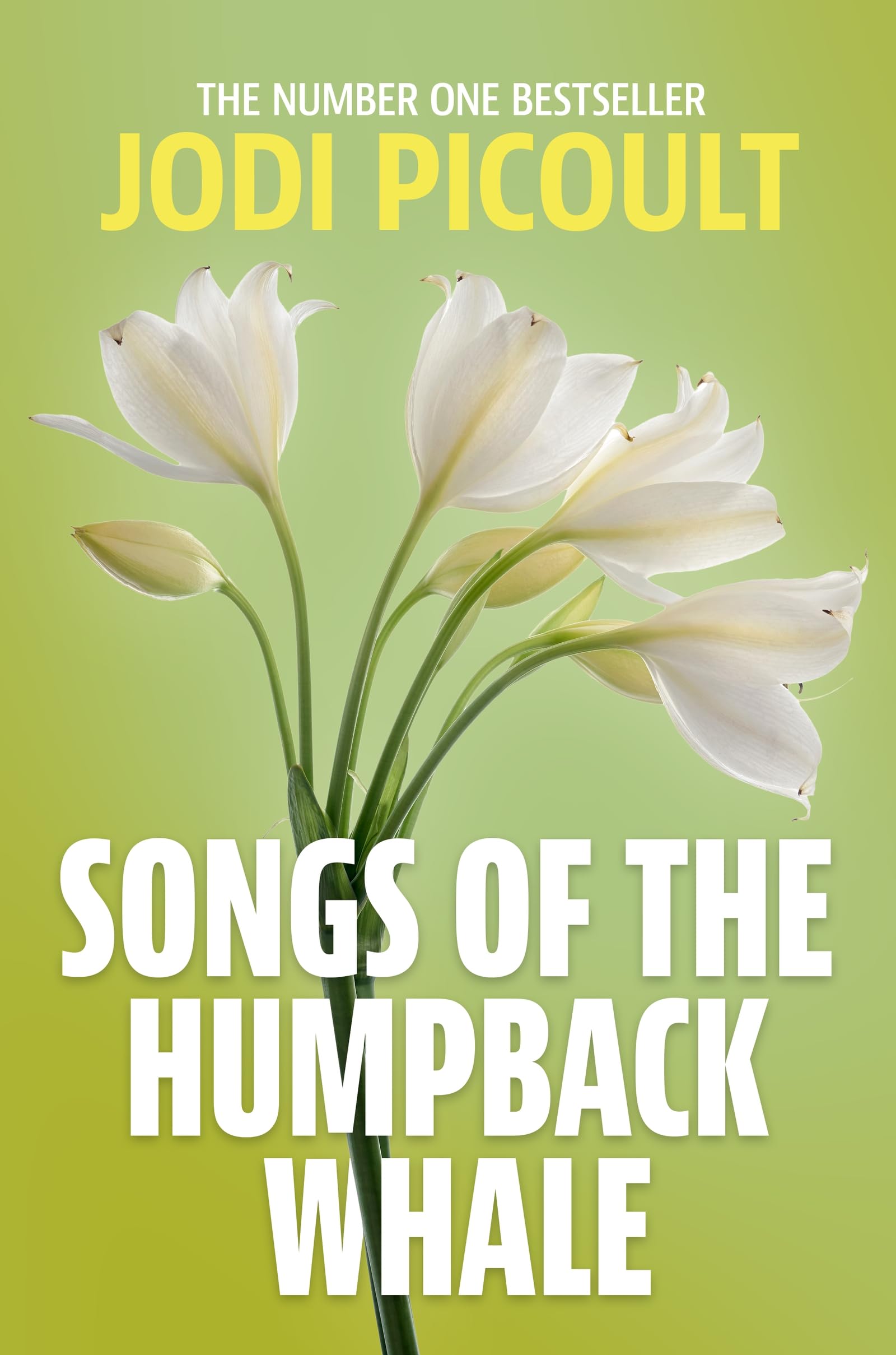 Songs of the Humpback Whale: A completely unputdownable novel of family, loss and the nature of love from the bestselling author of My Sister's Keeper
