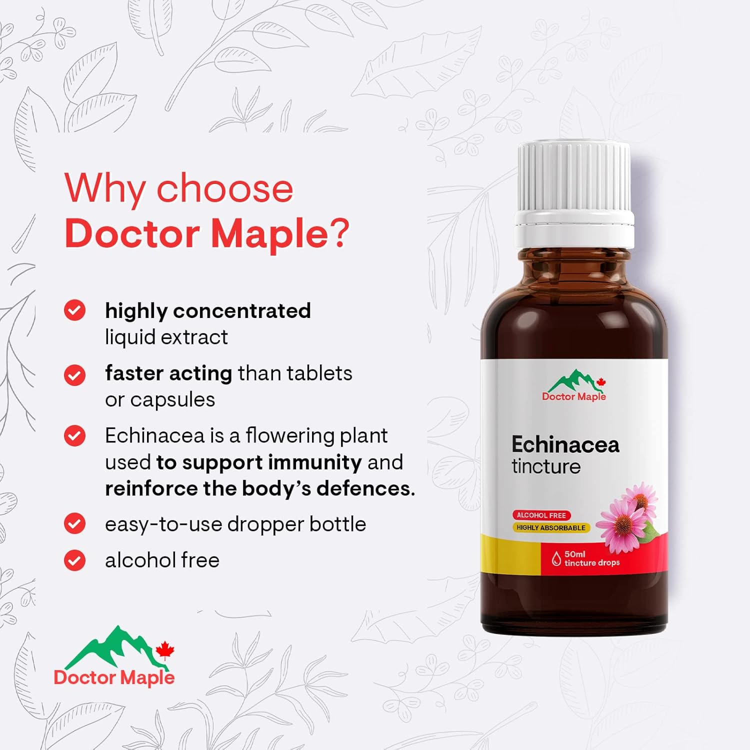 Doctor Maple Echinacea Tincture Drops 50ml AlcoholFree Echinacea