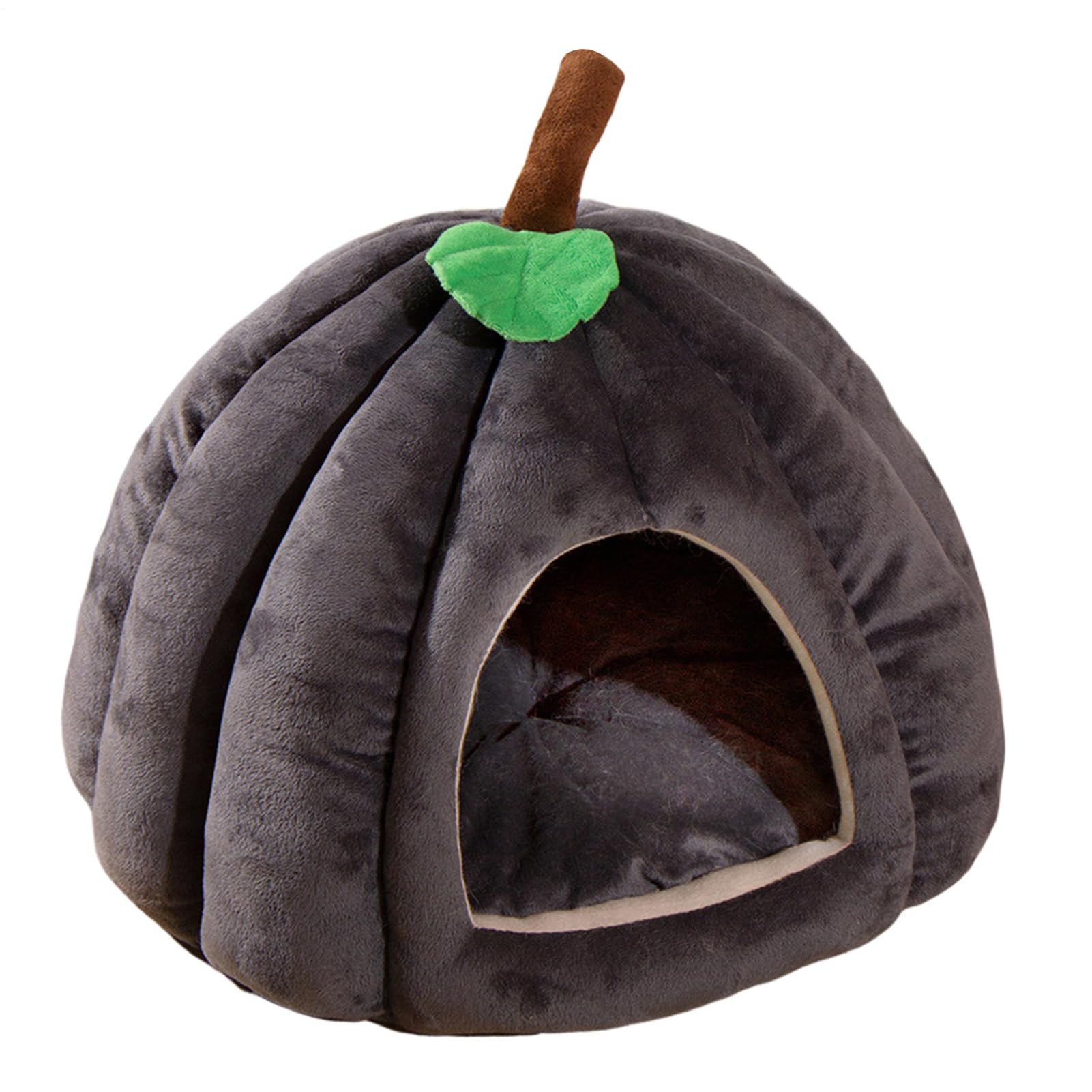 View 7