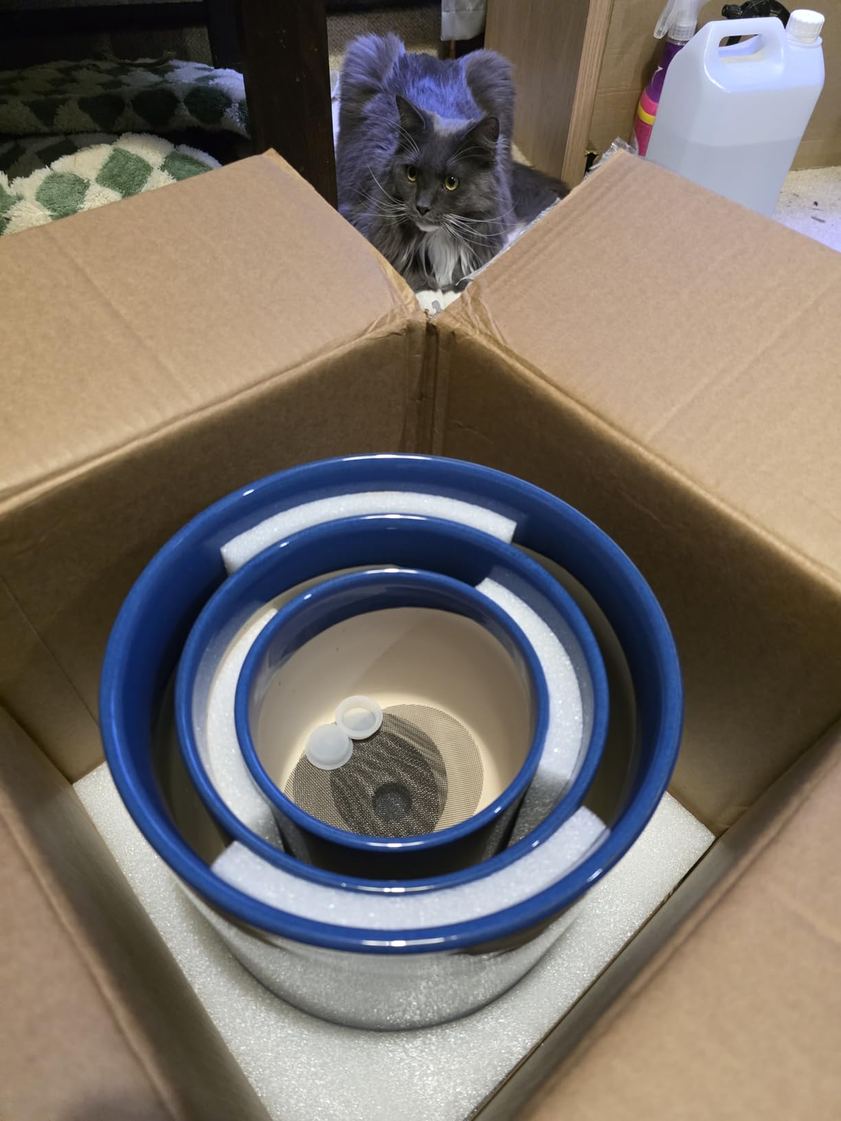 Customer photo