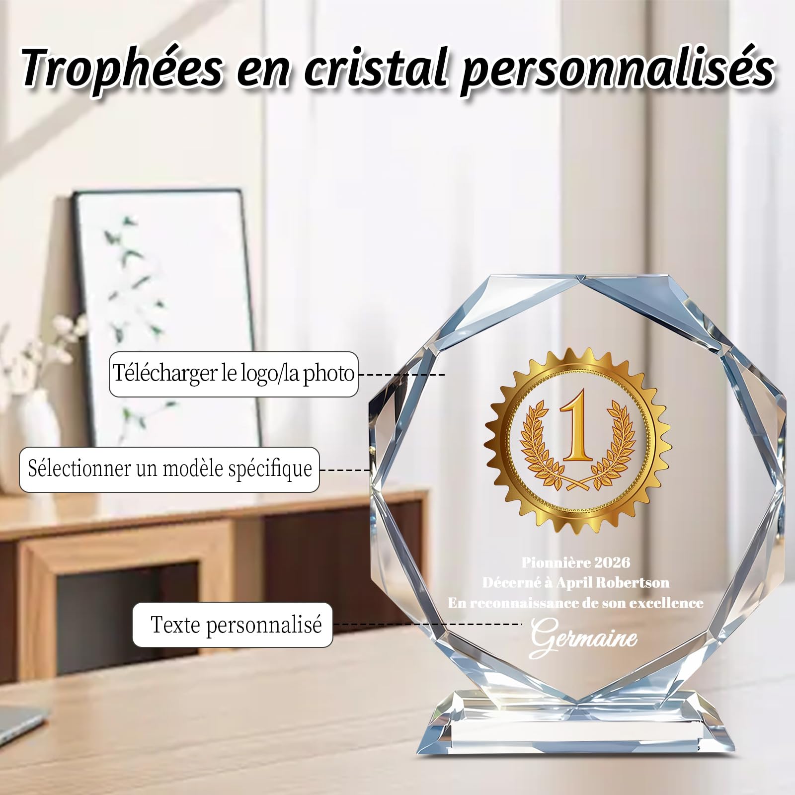 Trophée Personnalisable en Cristal Gravure Personnalisée Logo Nom Texte Photo Trophées en Verre Personnalisés pour Retraite Récompense Employé Sport