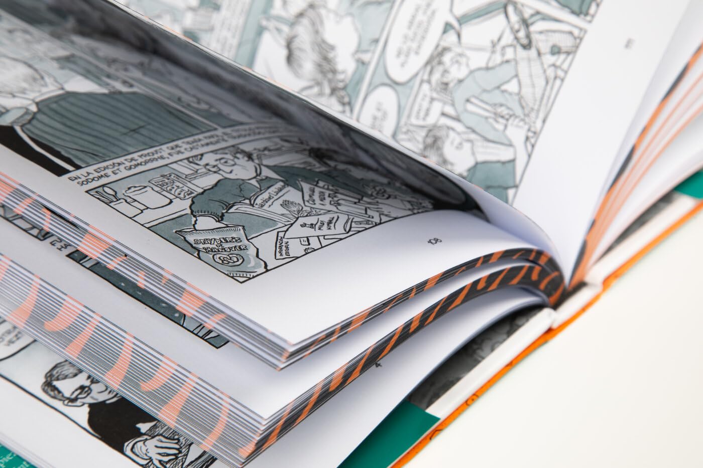 Fun home (edición coleccionista): Una familia tragicómica (Reservoir Gráfica)