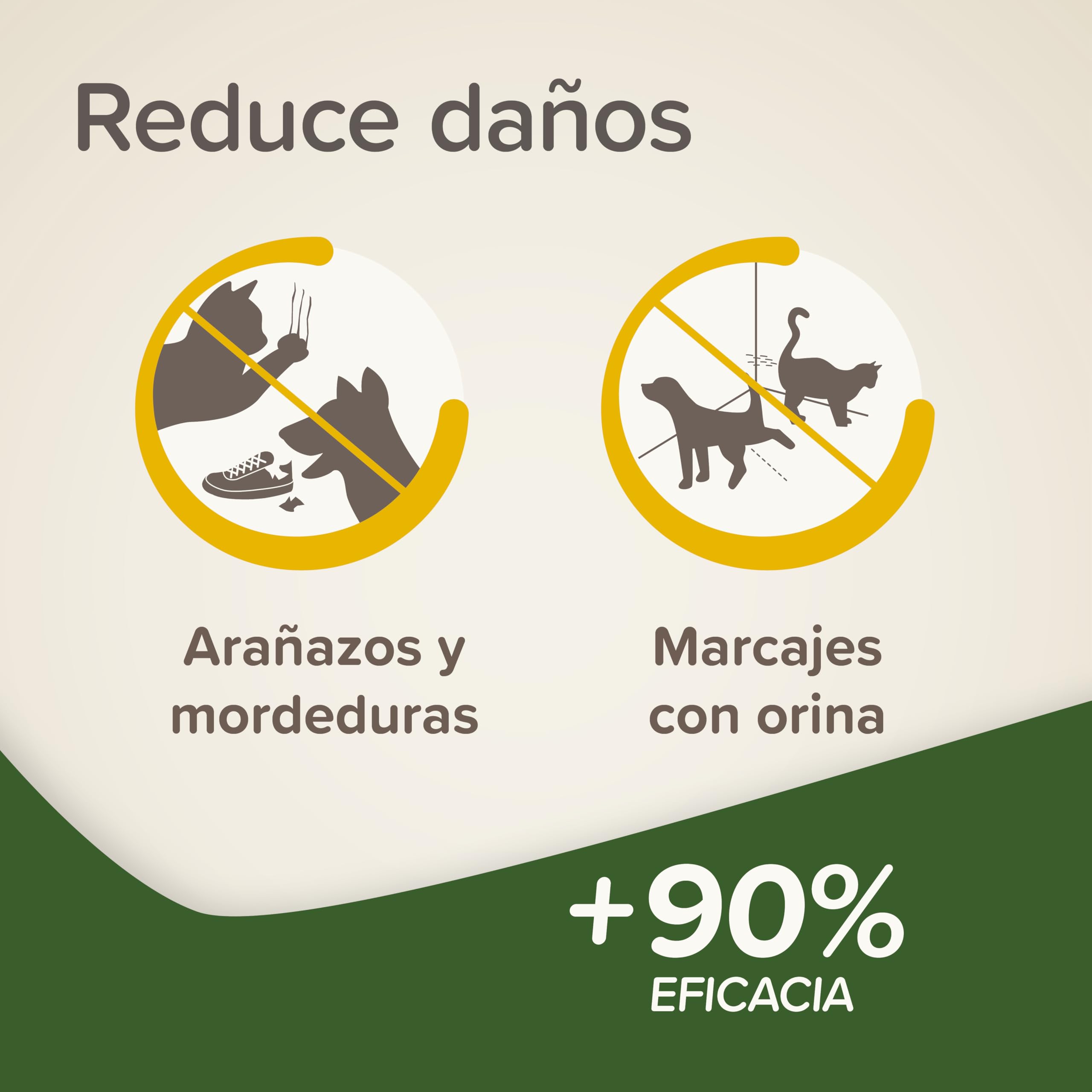 Beaphar Keep off - Spray Educatore Gatti e Cani - AntiGraffio - Antimuffa - Frena Le Cattive abitudini - Proteggi divani e mobili - Efficacia Repellente Immediata - con Oli Essenziali - 200 ml