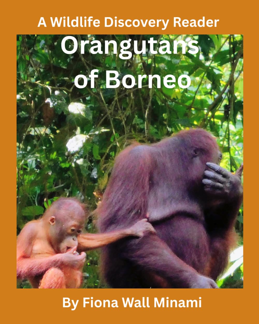 Orangutans of Borneo: A Wildlife Discovery Reader