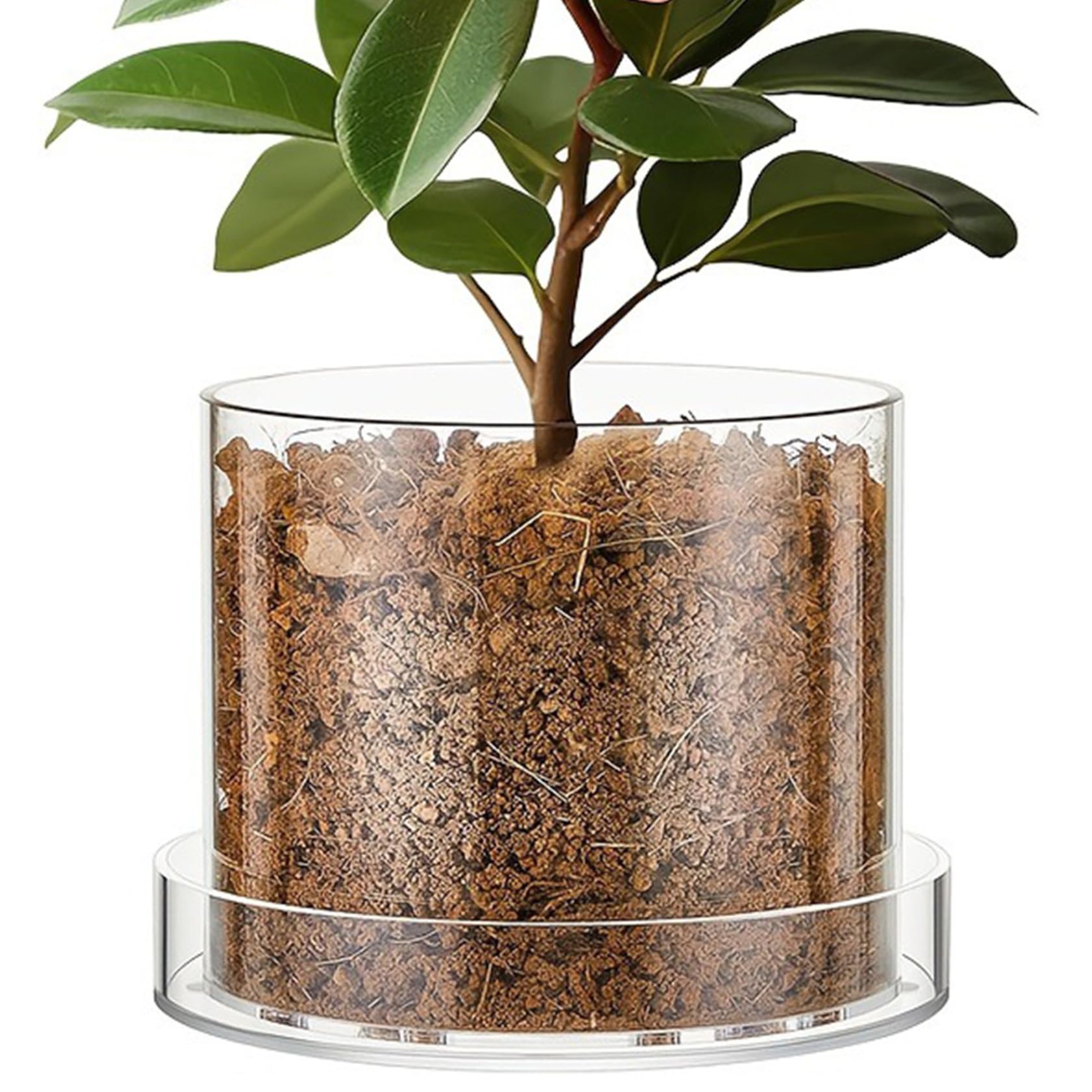 Wilafury Clear Nursery Pots with Drainage, 6 Inch Acrylic Plant Pot with Drainage Holes & Non-Slip Tray for Orchids, Herbs & Indoor Plants