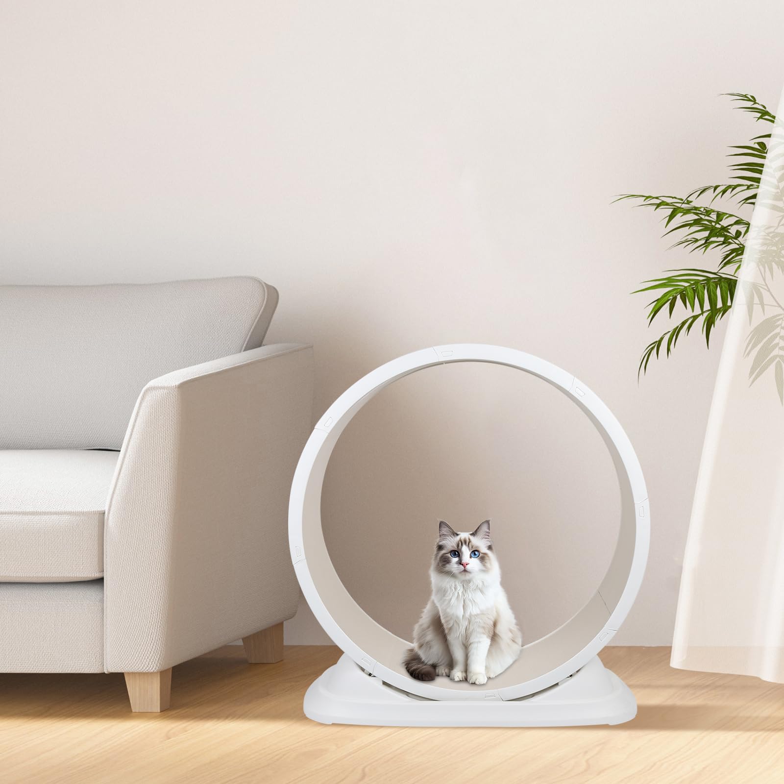 OHMG - Rueda de Ejercicio para Gatos de 80 cm, Cinta de Correr de Plástico con Moqueta, Súper Silenciosa - Juguete de Interior (85 x 80 x 33 cm)
