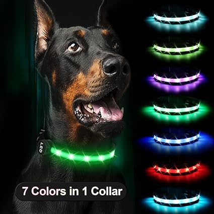 Light Up Dog Collars, RANTOJOY LED Dog Collar Rechargeable, Lighted Dog Collar Glow Safety Necklace Dog Collar Pet Flashing Collar Dog Cat Night Light Collar Adjustable Comfortable Soft Collar (Large)