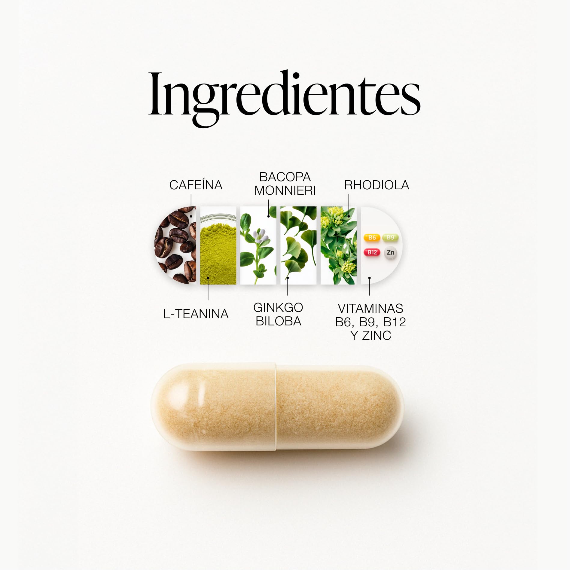 ZZEN FOCUS Nootrópico Natural – Nootropicos Memoria y Concentracion – Pastillas Concentracion Estudiar - Cafeina, L Teanina, Bacopa Monnieri, Ginkgo Biloba, Rhodiola, Vitaminas (PACK 1)