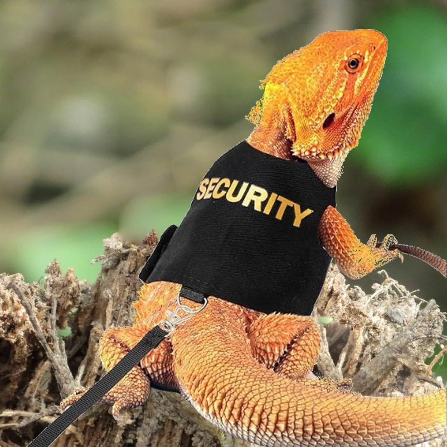 Adjustable Bearded Dragon Harness and Leash Set, Small Reptile Walking Harness with Escape-Proof Design for Outdoor Use