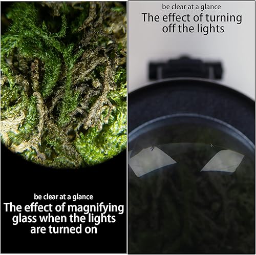 Miniatura 4 de Tarros de almacenamiento herméticos de vidrio transparente con luz LED con tarro de visualización de aumento portátil mini ligero para un fácil