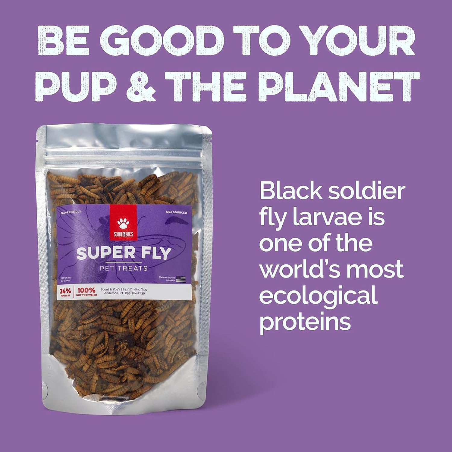 Scout & Zoe's Super Fly Black Soldier Larvae