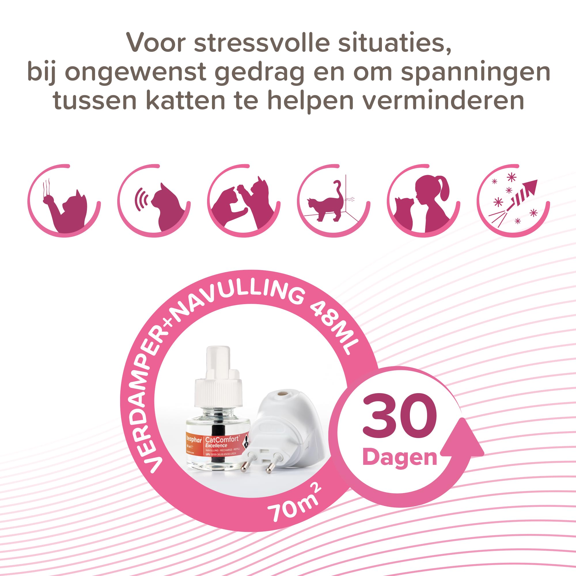 BEAPHAR CATCOMFORT® Excellence - Diffusore elettrico di feromoni per gatti - Riduce lo stress e i comportamenti indesiderati senza dipendenza o sonnolenza - 1 presa e 1 ricarica da 48 ml