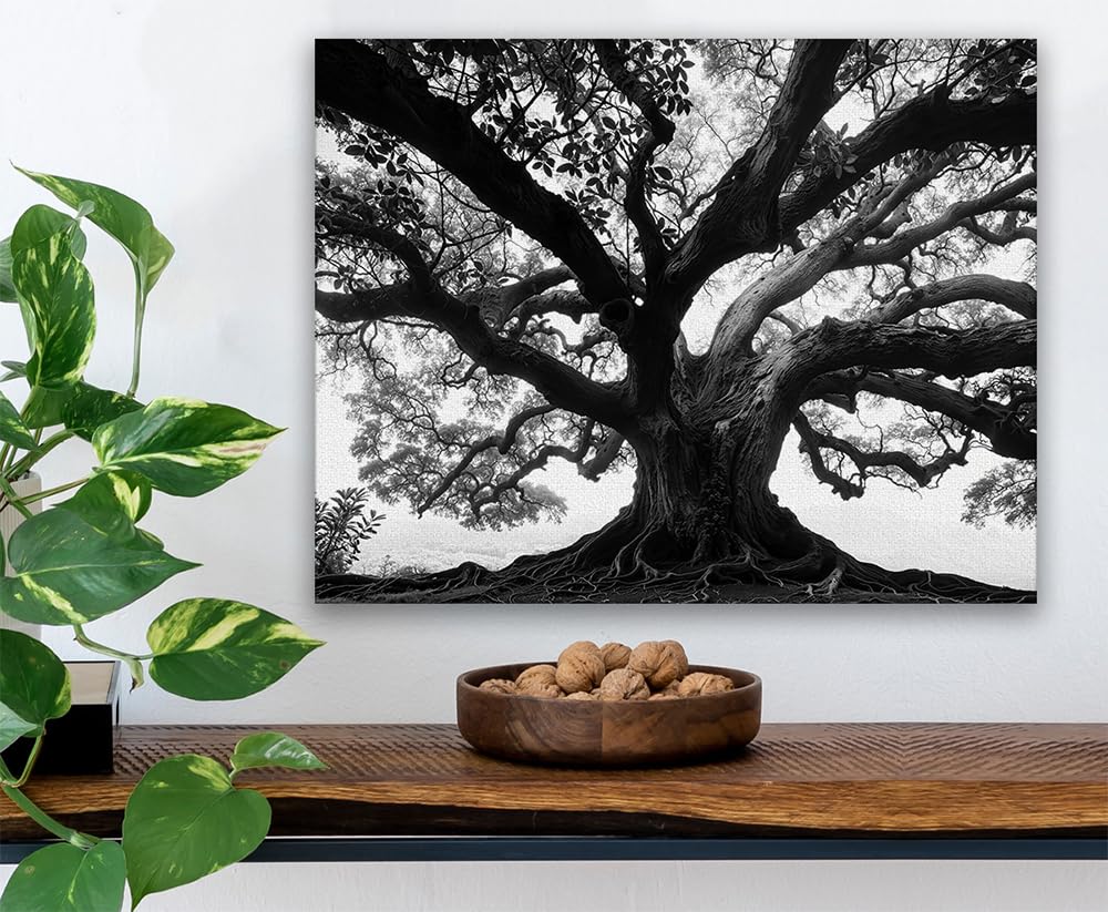 Amazon.com: Tree of Life Black & White Photo 16x20 Stretched