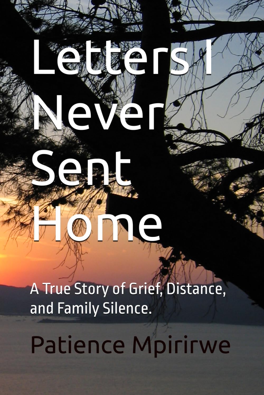 Letters I Never Sent Home: A True Story of Grief, Distance, and Family Silence.