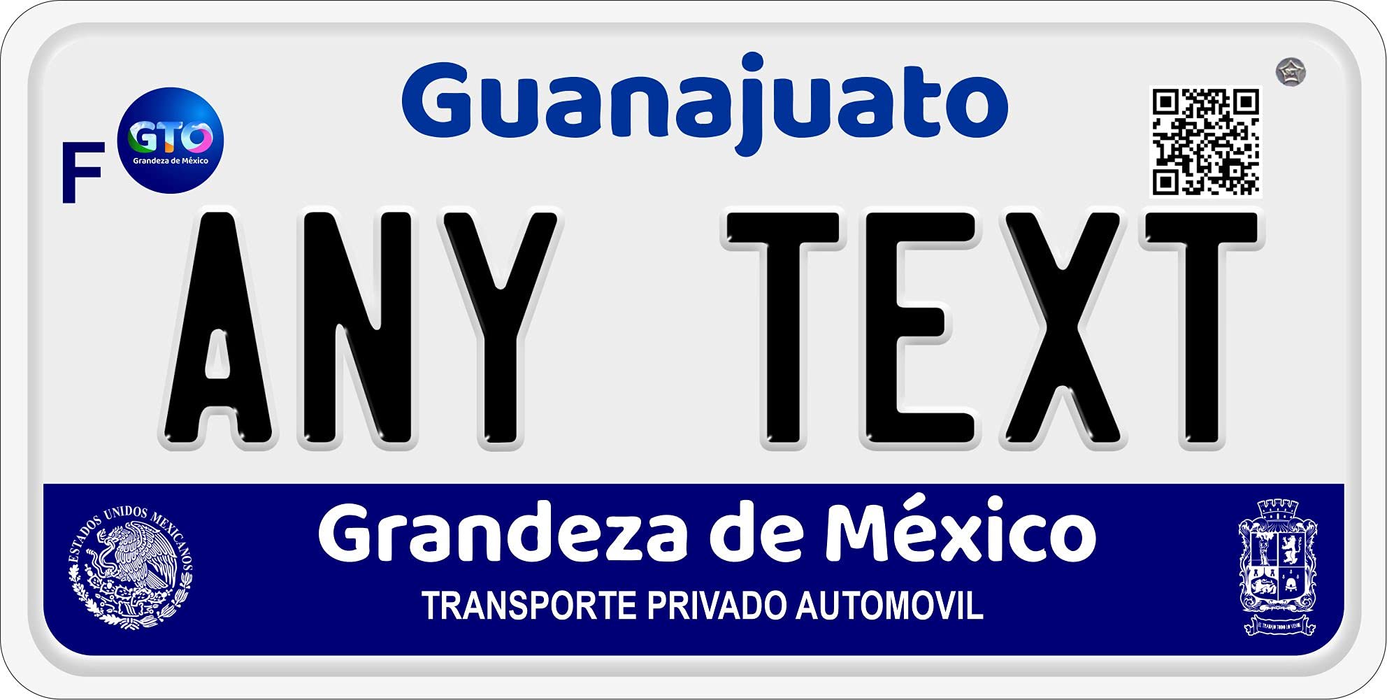 PROJECKT Placas de Guanajuato personalizada