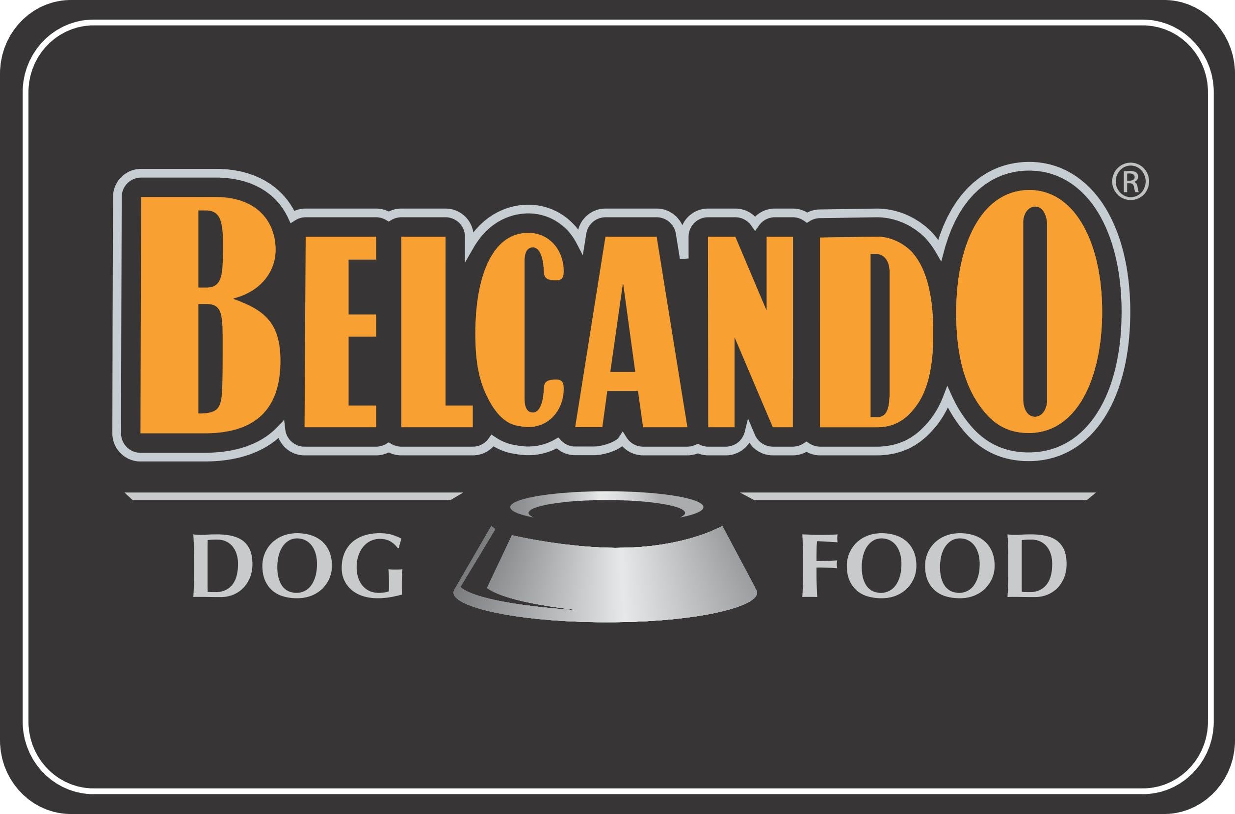 Belcando Single Protein Cavallo | Confezione Doppia | 2 x 6 x 400 g | Cibo umido per cani adulti | Senza cereali | Senza additivi | Adatto in caso di intolleranze