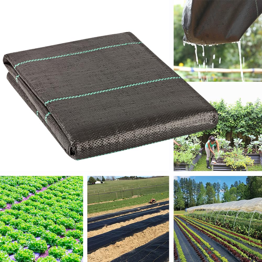 Petgrow 2M x 10M Membrane de contrôle des Mauvaises Herbes - Bâche de Protection Contre Les Mauvaises Herbes - Revêtement de Sol Robuste Noir - Tissu Respirant (2 m x 10m)