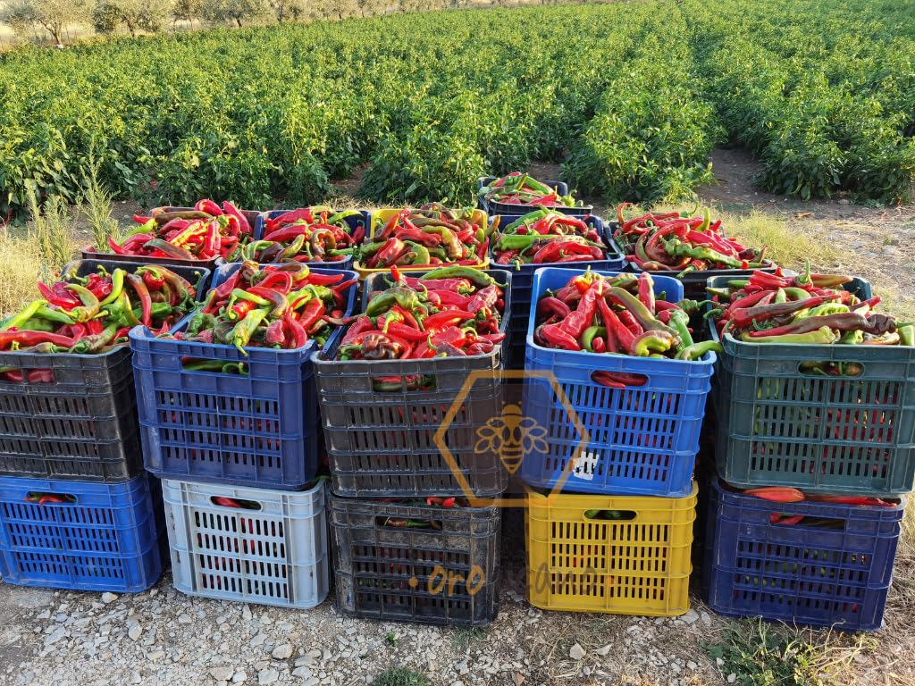 Peperoni Cruschi Secchi da Friggere, Peperoni Essiccati di Alta Qualità, Confezione da 200g