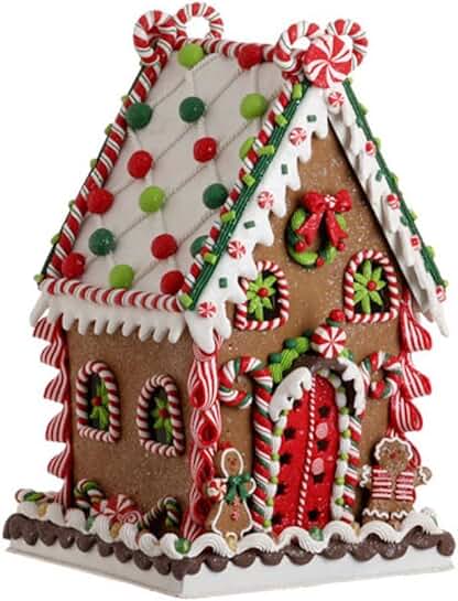 Amazon.com: ceramic gingerbread house