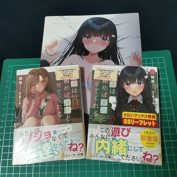 こちらでの依頼〆　新しいページへお願いします Amazon.co.jp: 女友達は頼めば意外とヤらせてくれる 小説1巻2巻