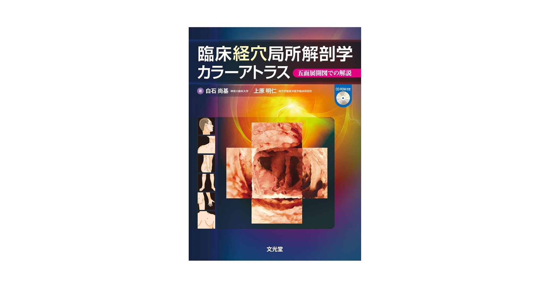 リンパ系局所解剖カラーアトラス リンパ系局所解剖カラーアトラス【電子版】 | 医書.jp