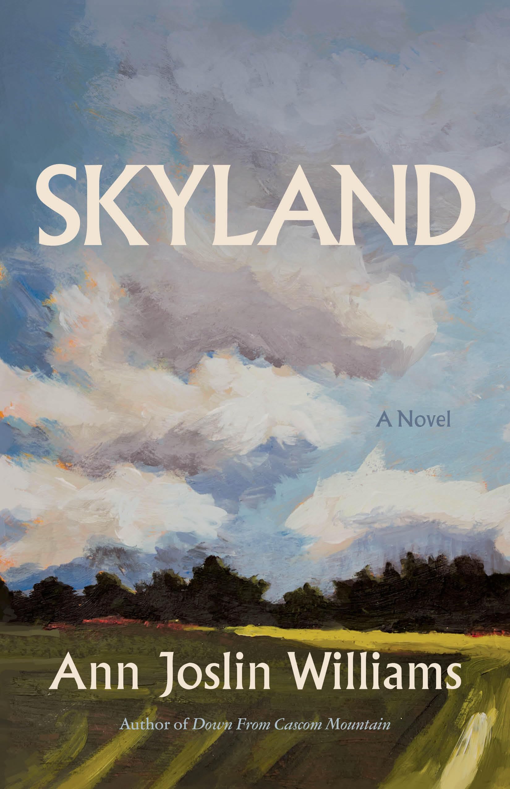 Skyland: A Novel