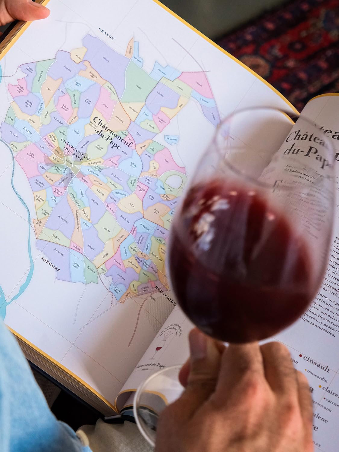 Ruta de los vinos franceses: Atlas de los viñedos de Francia (BEBIDAS)