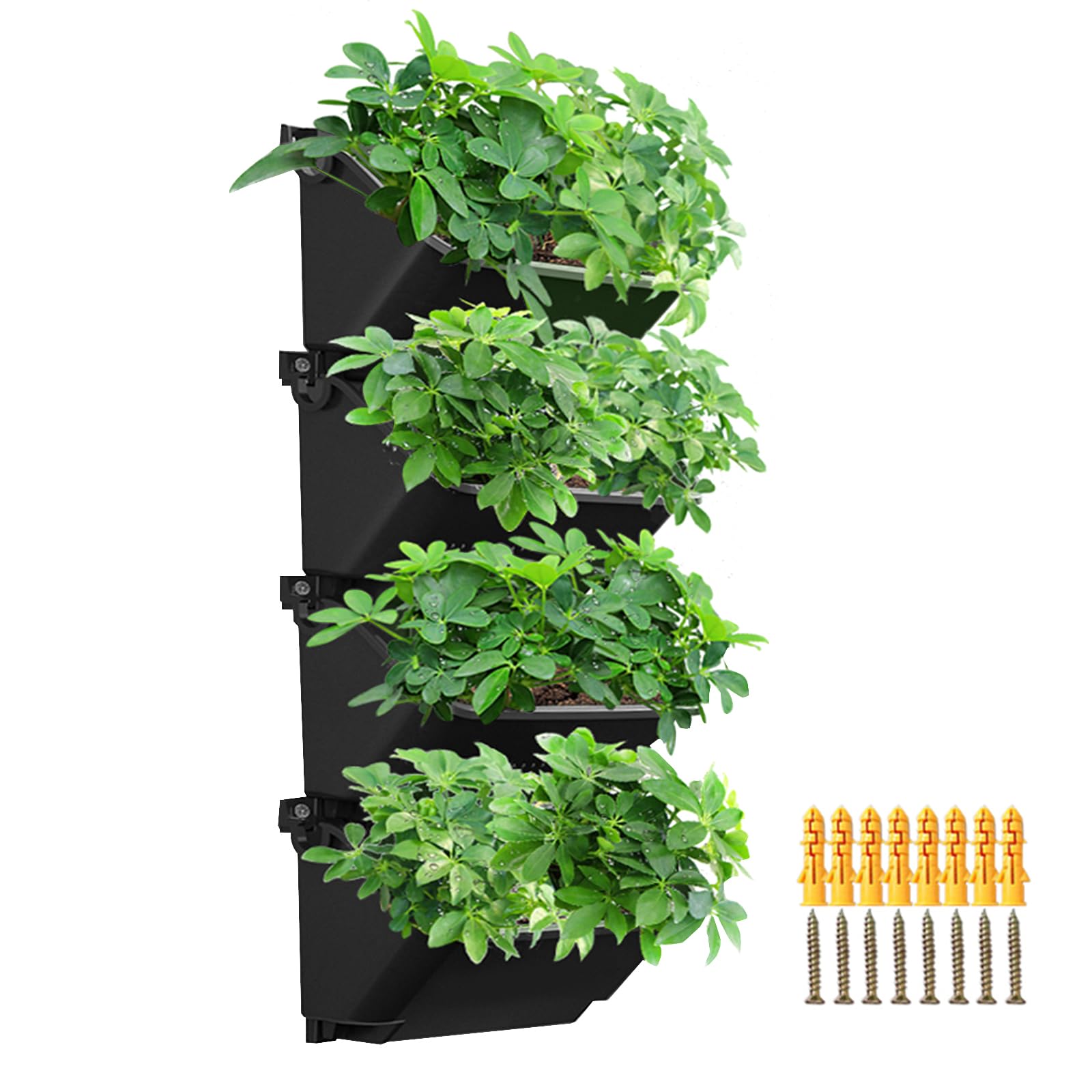 Hangende Plantenbakken - Set van 2 - met een Diameter van 25 cm Hangende Plantenbakken - Set van 2 - met een Diameter van 25 cm