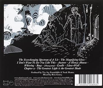 洋楽 The Joy Formidable - The Big Roar The Joy Formidable – The Big Roar – 2 x Vinyl (LP, Album