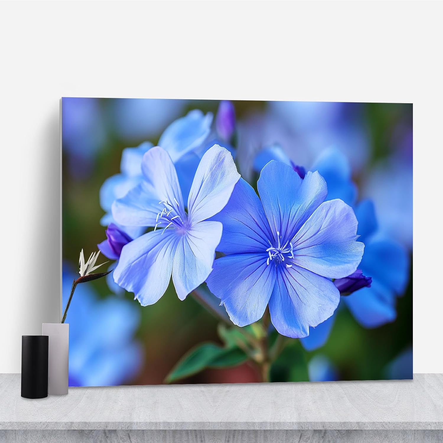 Framed Floral Wall Art,Laundry Room Decor,Flower Photo Flower