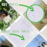 Vista 1285 de Razas de Perros 2017