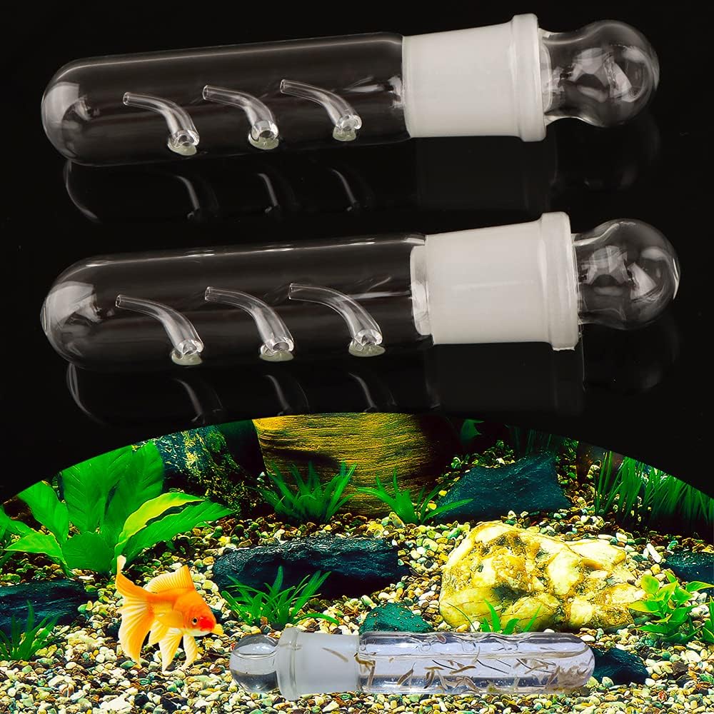 DQITJ 2 Pack Crystal Glass Planaria Trap Catch Trap Aquarium Cleaning Supply for Shrimp