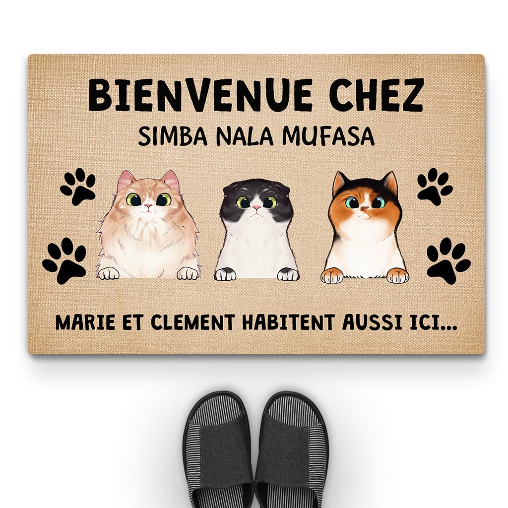 Tapis personnalisé entrée anti-saleté spécial foyers 3 chats