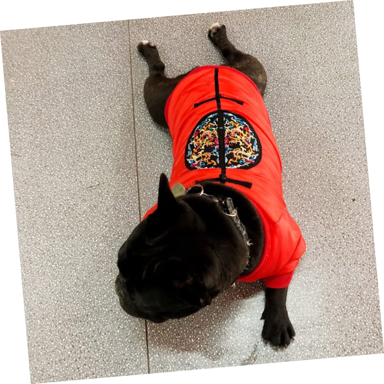 Housoutil 2stücke Pet Wintermantel Für Kleine Hunde Warmes Kostüm Für Outdoor-aktivitäten Und Funktional Für Kaltes Wetter Brustumfang Für Französische Bulldoggen Pugs Und
