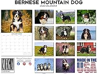 Vista 1030 de Razas de Perros 2017