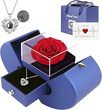 Preserved Real Rose with I Love You Necklace 100 Languages, Gifts for Girlfriend, Women, Mom, Wife, Gifts Idea on Christmas, Valentines Day, Mothers Day, Birthday, Anniversary, Thanksgiving