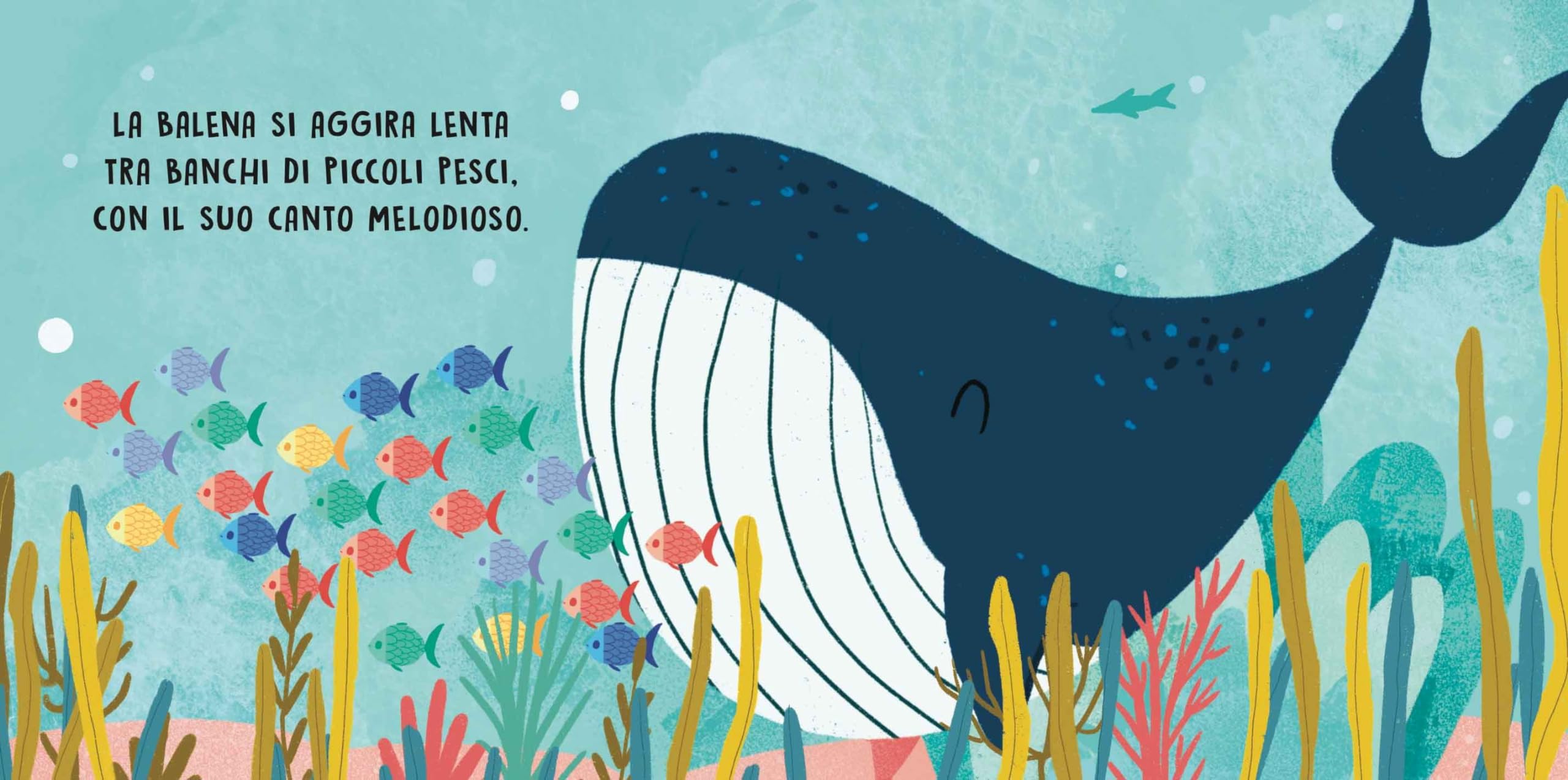 Il mare. Dolci storie sonore. Ediz. a colori