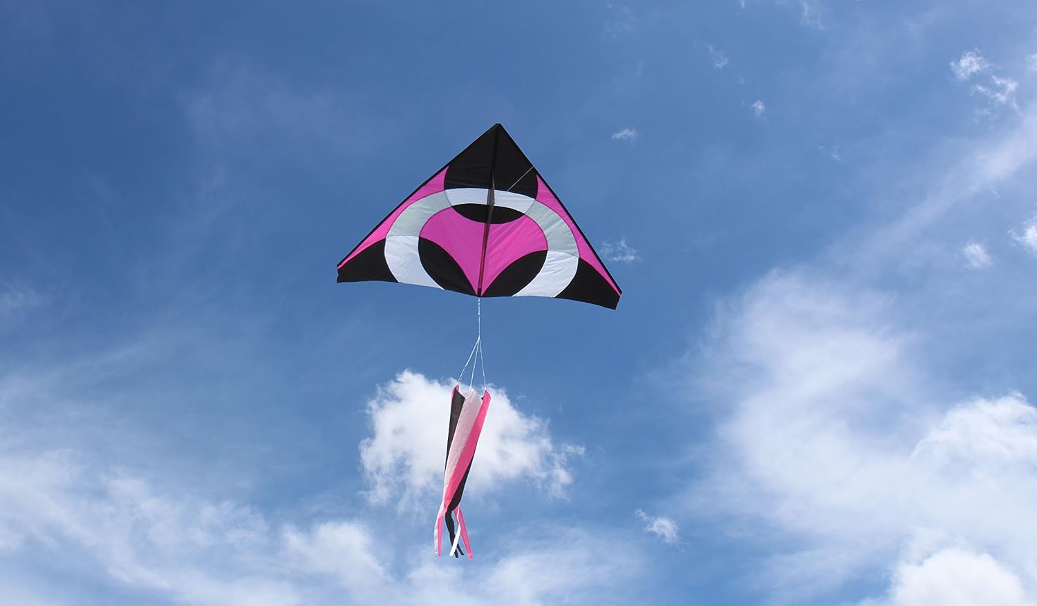 Weifang New Sky Kites Giant Delta Ring iKite Delta Shape Premium Large Kite with Line and Handle