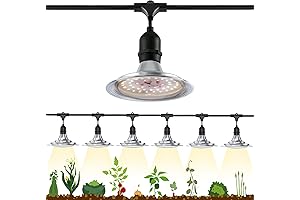 Espird Outdoor Grow Light: Transform Your Greenhouse into a Thriving Eden