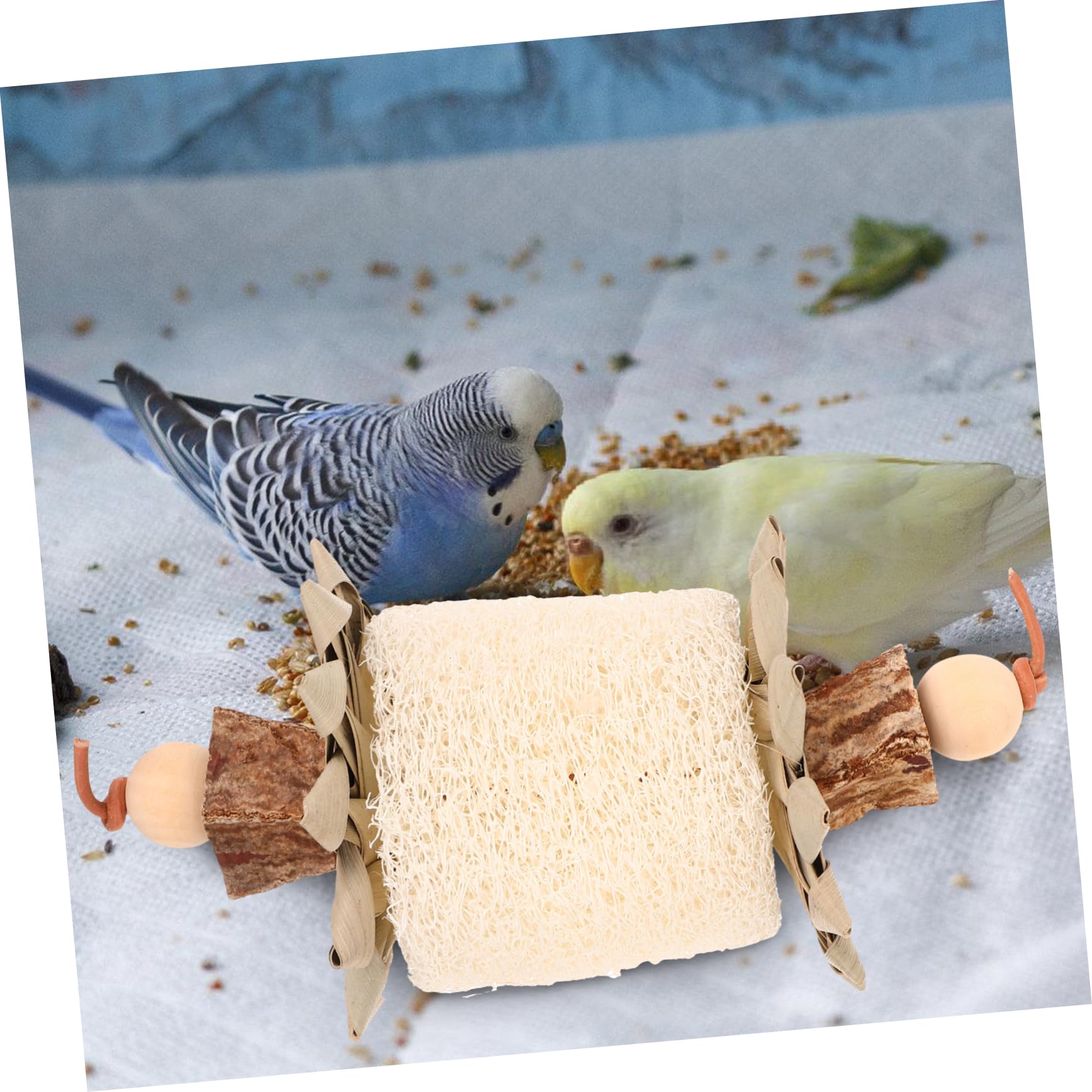 Beaupretty Jouet à Mâcher pour Oiseaux Jouet Luffa pour Perroquet pour Cage Pendentif pour Oiseaux pour Perroquets Et Conures