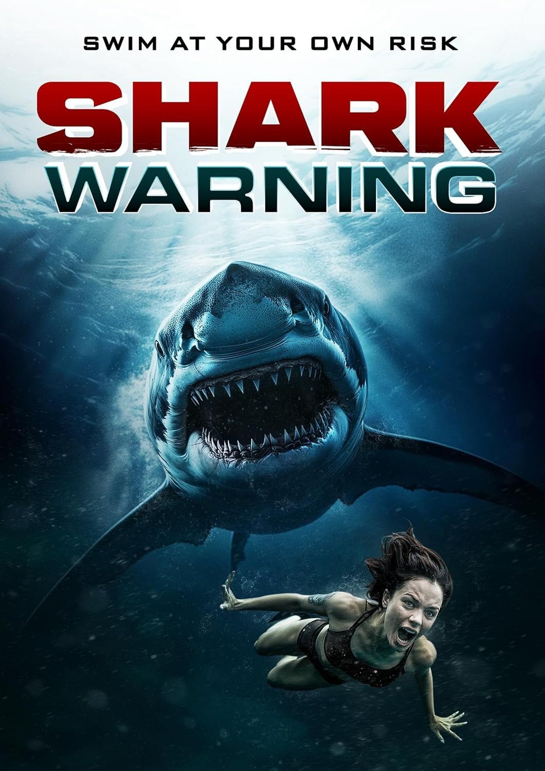 Shark Warning [DVD]: Amazon.ca: David Chokachi, Andrew J. Katers