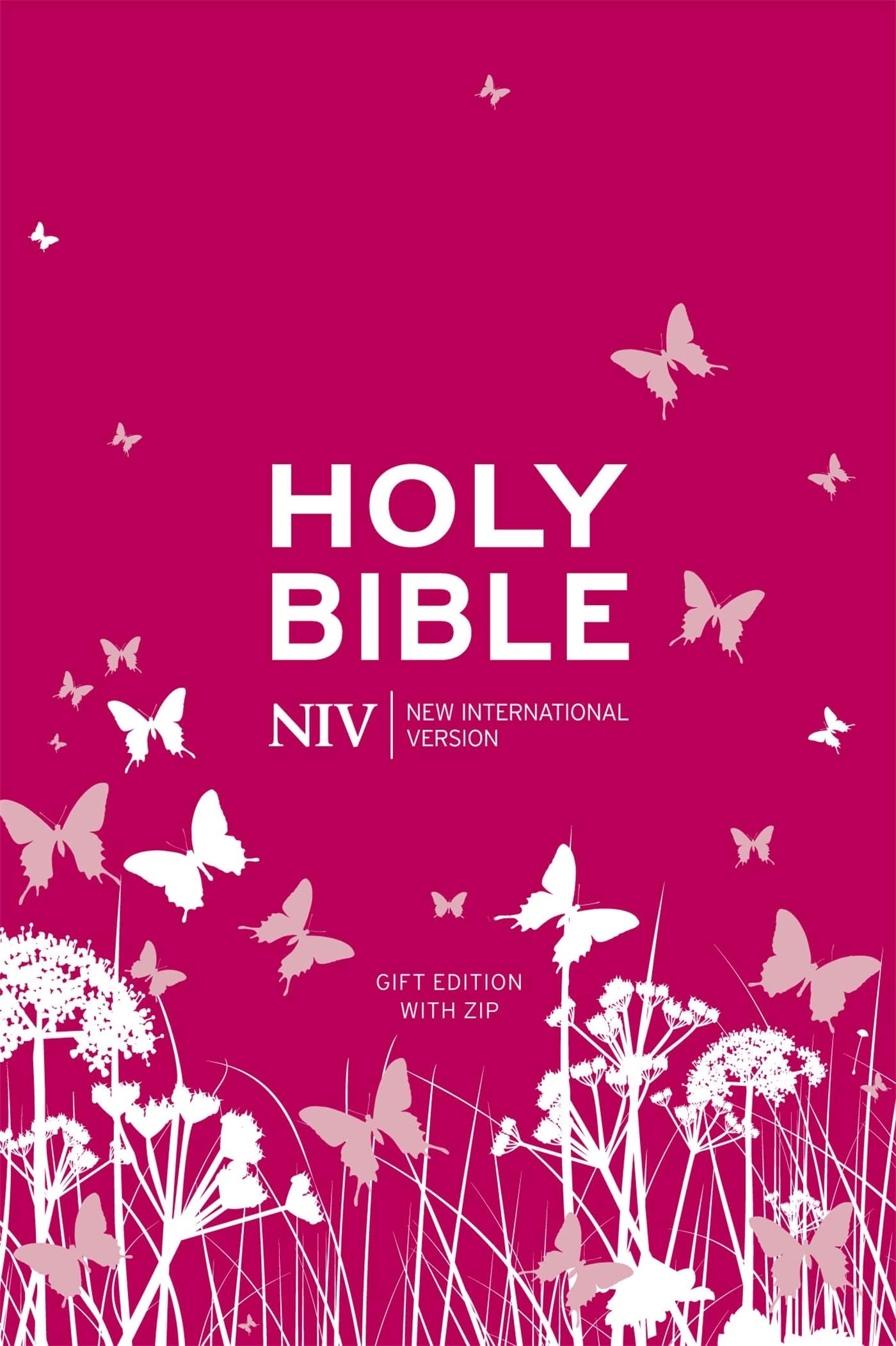 The Holy Bible: New International Version.
