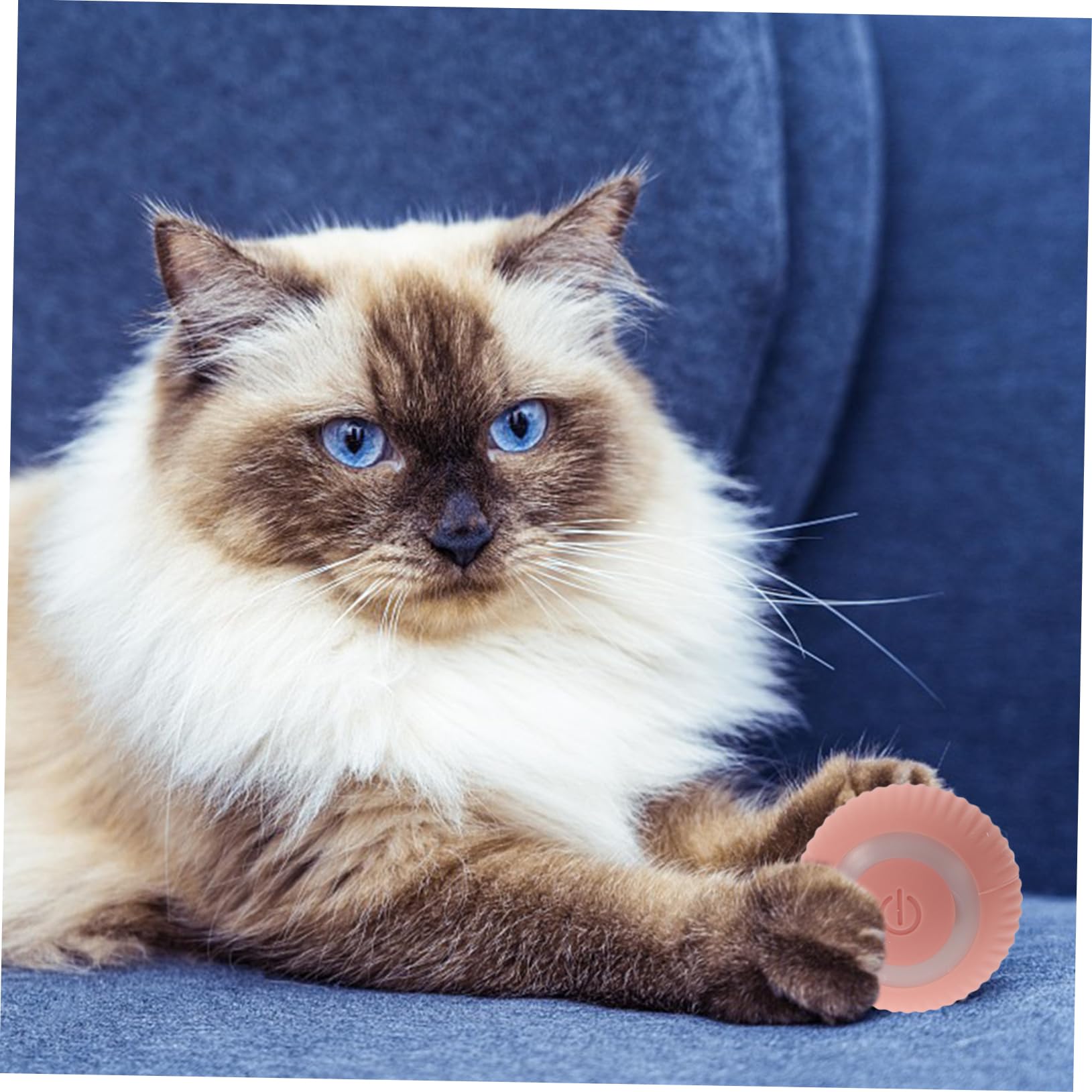 SUPVOX Lot De 3 Jouets Interactifs Amusants pour Chats Jouet Intelligent pour Chatons