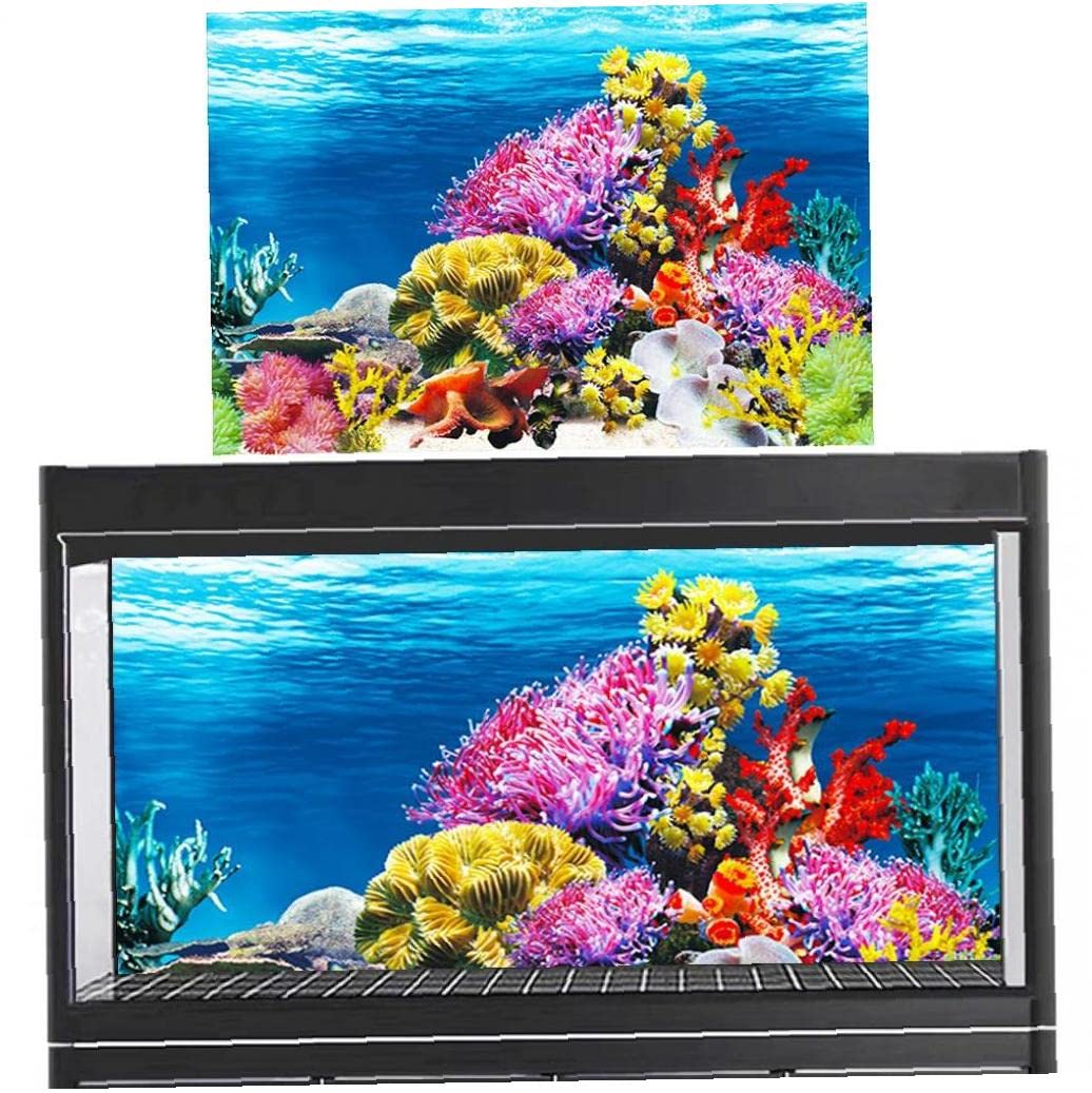 Amazon.co.jp: 水槽ポスター 背景ポスター サンゴ pvc 防水 バック